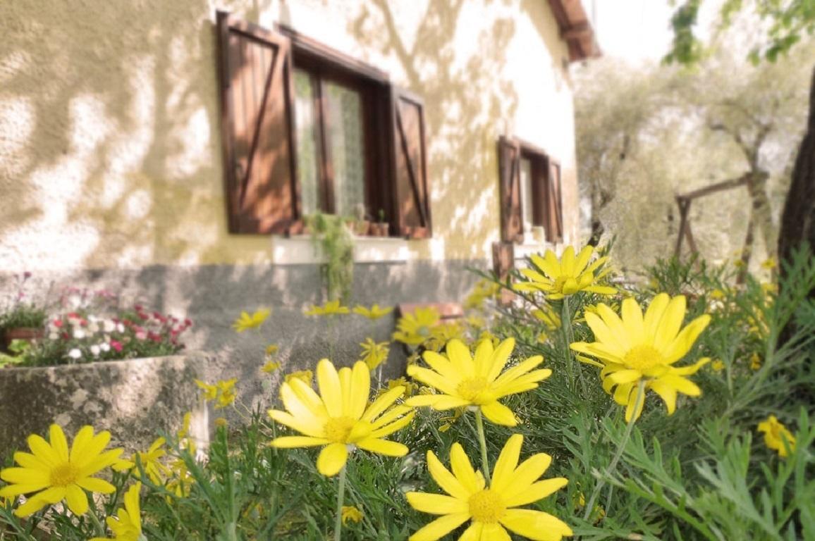 Agriturismo Macchiapiede Сала-Консилина Экстерьер фото